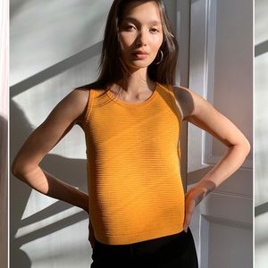 Aritzia Tank